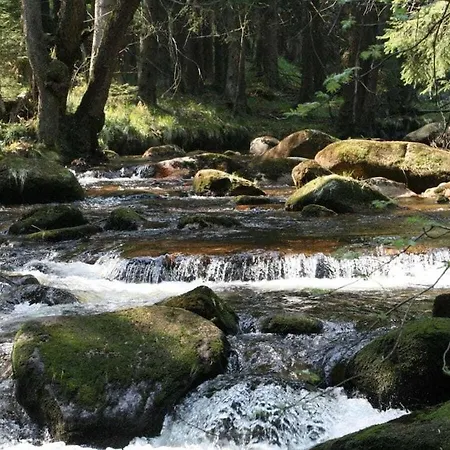 Bergwaldlodge Einklang