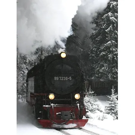 Bergwaldlodge Einklang * Schierke