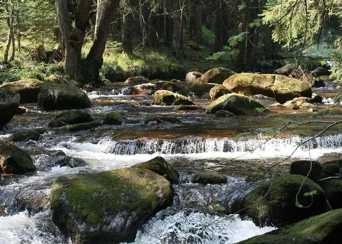 Bergwaldlodge Einklang