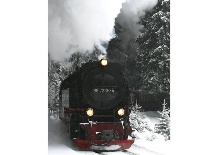 Bergwaldlodge Einklang * Schierke